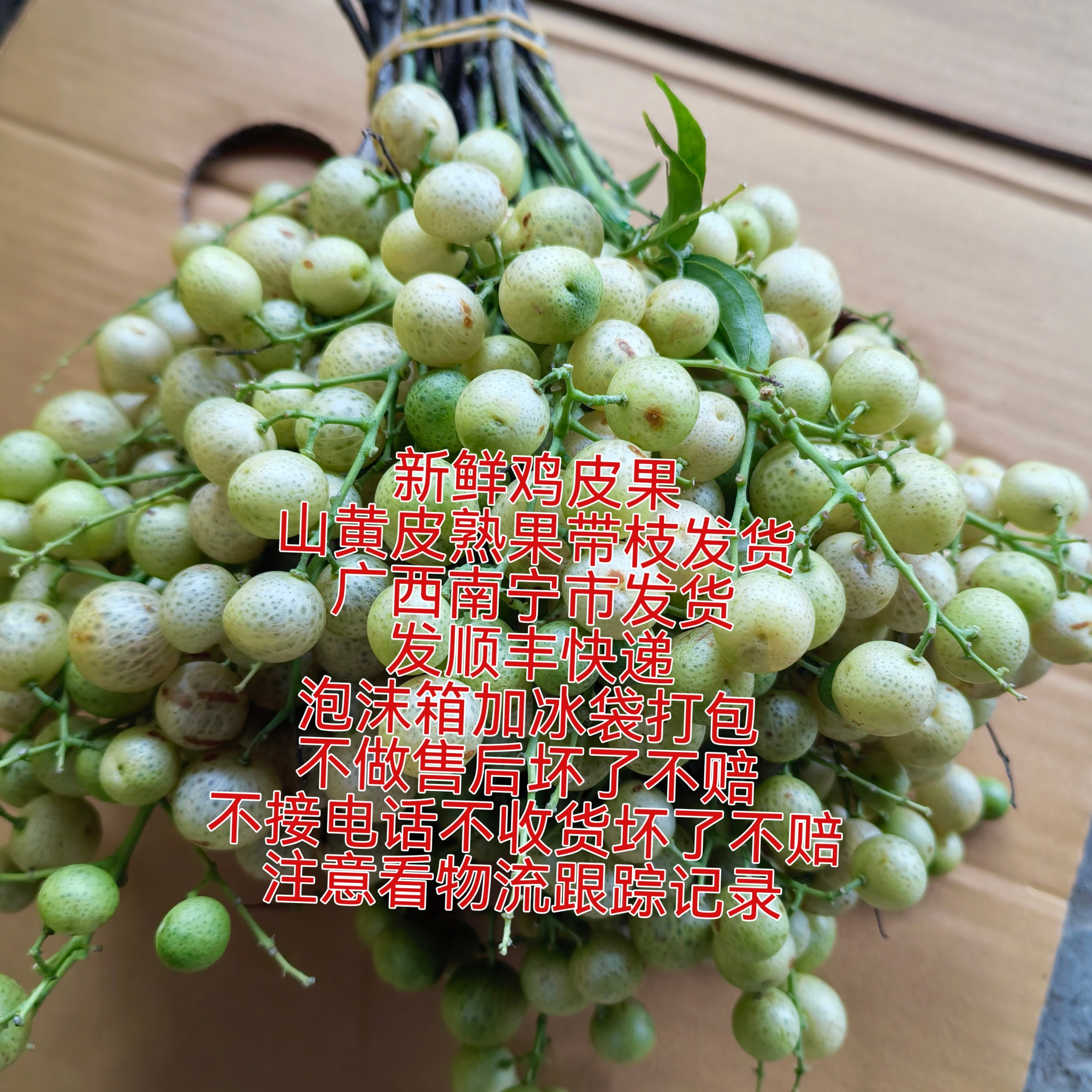 广西野生山黄皮熟果新鲜摘鸡皮果带枝发货发顺丰快递不做售后
