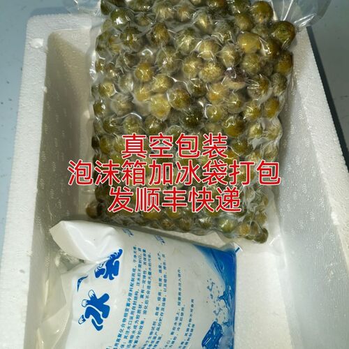广西特产山黄皮果冷冻果鸡皮果青黄果做鸭脚鸡爪配料去腥解腻增香