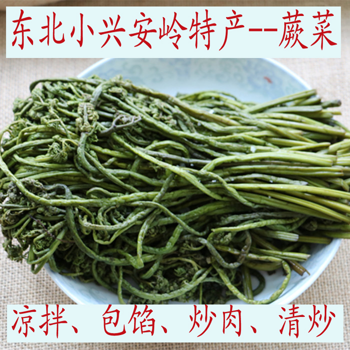 腌制蕨菜咸的小兴安岭野生新鲜