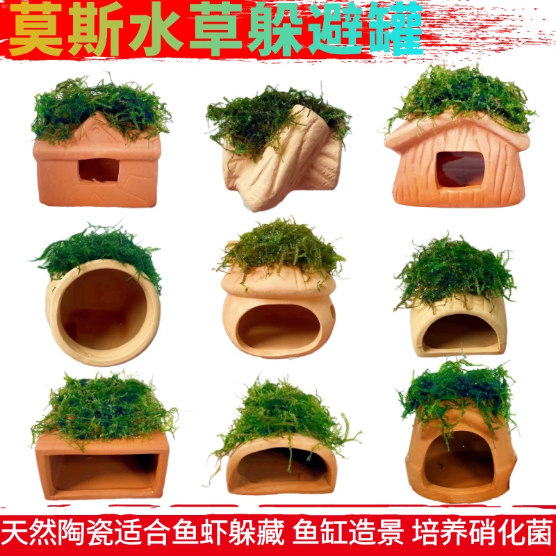 天然陶瓷罐虾屋观赏鱼繁殖躲避罐蜘蛛乌龟爬虫螃蟹躲藏洞鱼缸造景