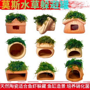 天然陶瓷罐虾屋观赏鱼繁殖躲避罐蜘蛛乌龟爬虫螃蟹躲藏洞鱼缸造景