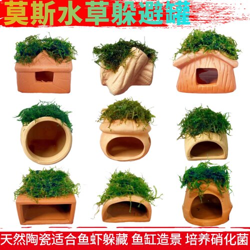 躲避罐蜘蛛蜥蜴草龟爬虫包邮虾屋