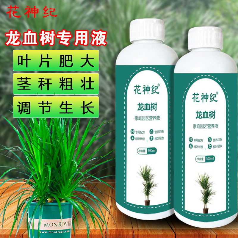 拍1发2龙须树营养液龙血树肥料治黄叶掉叶干尖室内绿植盆栽复合肥