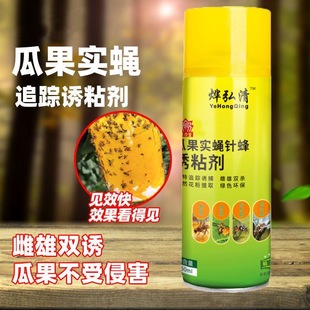 粘果蝇神器瓜果实蝇诱粘剂粘虫板诱虫板昆虫针蜂克星引诱剂粘胶板
