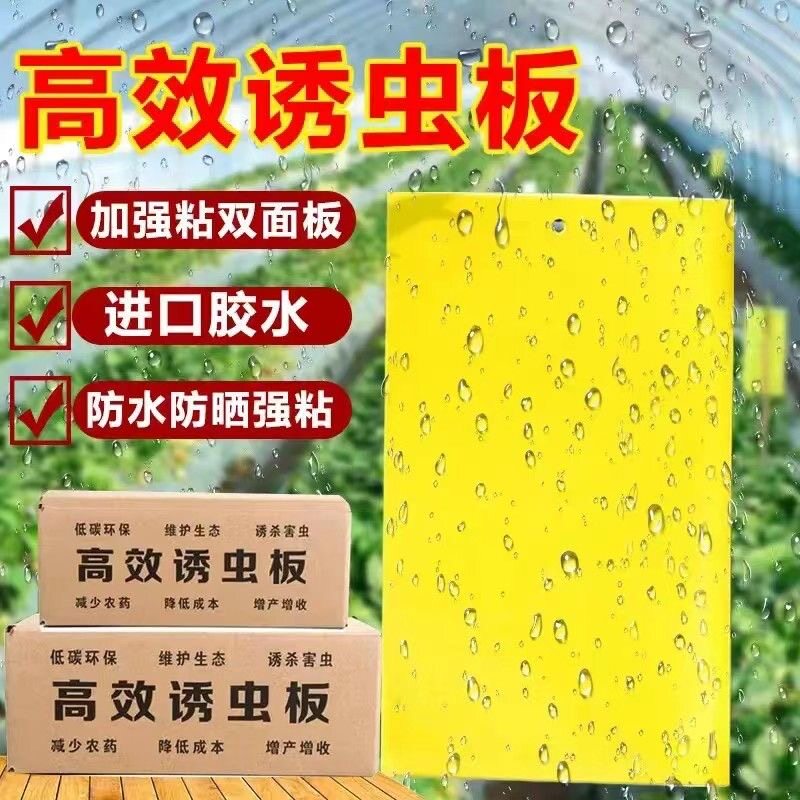 拍1发60张果园粘虫板双面黄色诱灭蝇沾虫板农业菜园林田地捕虫贴