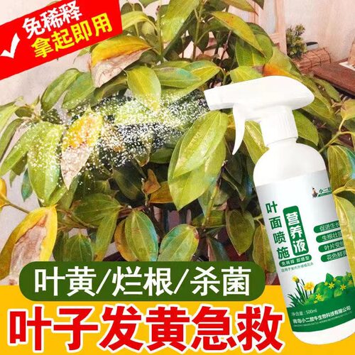 叶绿素花卉营养液叶面肥烂根死苗黄叶一喷绿壮苗果蔬花卉