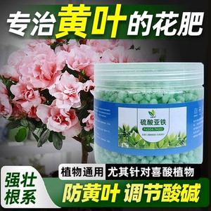 家庭园艺硫酸亚铁肥花用酸性花肥花卉园艺果树蔬菜植物肥