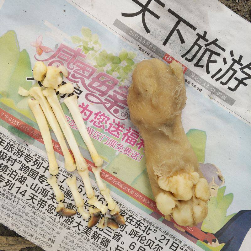 真爪子全骨一整套黑牙吊坠项链男女压饰品25练习骨架拼装汪汪队