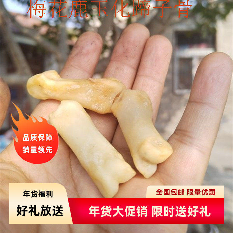 鹿腿骨 养殖梅花鹿鹿腿骨 带蹄子鹿腿骨头文玩鹿骨陈年老料油性足