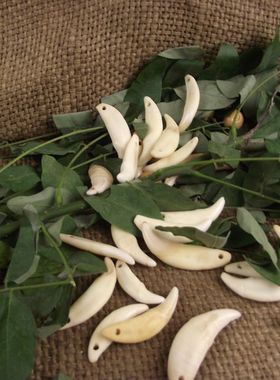 黑牙吊坠情侣饰品创牙项链动物牙饰品9.9包邮小饰品动物