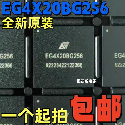 微控制芯片ICEG4X20BG256