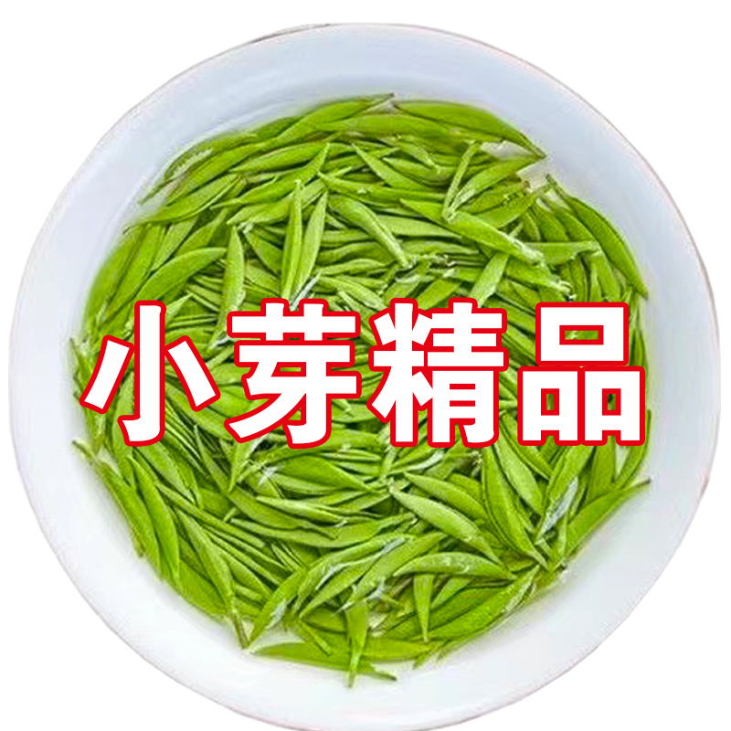 信阳毛尖2024新茶雨前嫩芽500g