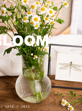 宜家IKEA普德拉格 ins风北欧 轻复古水波纹透明玻璃花瓶插花水瓶