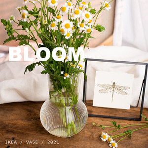 宜家花瓶价格 宜家花瓶图片 星期三