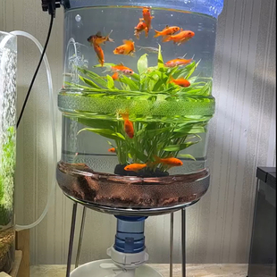 自制生态鱼缸倒置养鱼换水一体式鱼缸桶装水桶盖家用水草缸