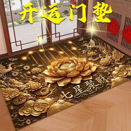 七星聚财防滑吸水入户门垫