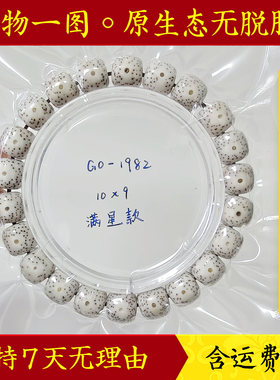 玄境堂一物一图星月菩提原白手串