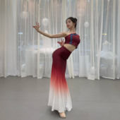 女舞裙练功裙表演服孔雀舞艺考服装 傣族舞蹈演出服装 傣族服装