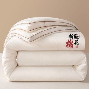 纯色二合一子母被拉链款四季被