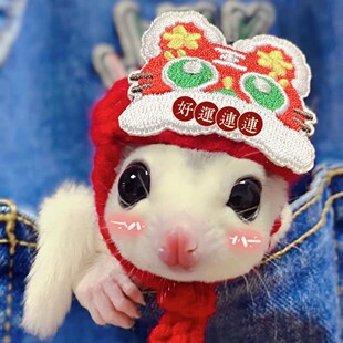 黑黑酱蜜袋鼯手工新年帽子用品仓鼠花枝鼠松鼠金丝熊飞鼠龙猫服装
