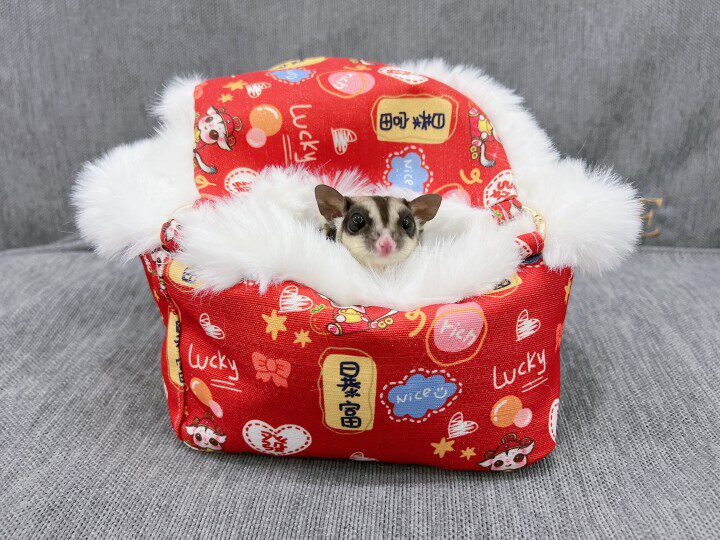 黑黑酱春夏秋冬保暖长毛三角窝蜜袋鼯兔子仓鼠窝悬挂睡窝玩具睡袋