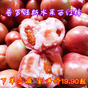 普罗旺斯新鲜西红柿现摘不催熟香甜山东特产沙瓤水果海阳番茄满籽