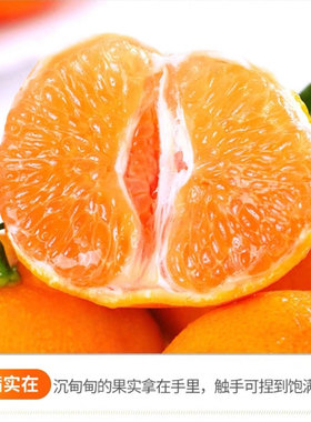 四川春见耙耙柑鲜水果现摘纯甜多汁化渣橘子应季浦江特级果园直发