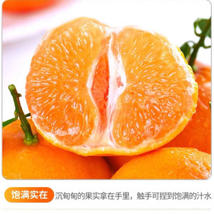 四川春见耙耙柑鲜水果现摘纯甜多汁化渣橘子应季浦江特级果园直发