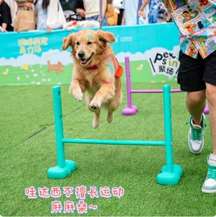 萌宠运动会器材狗狗交友会绕杆跳圈跨栏游戏套装宠物学校训练道具