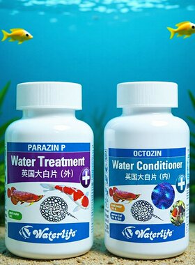 英国大白片 七彩头洞龙鱼金鱼海淡水内寄外寄Waterlife大白片正品