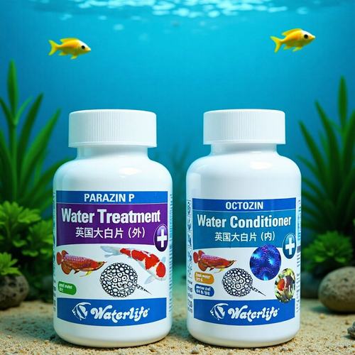 内寄外寄Waterlife大白片