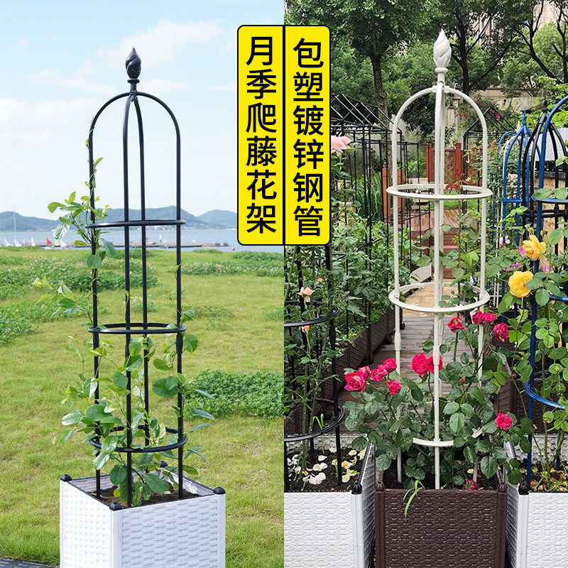 花架爬藤架植物架子杆支撑杆图片