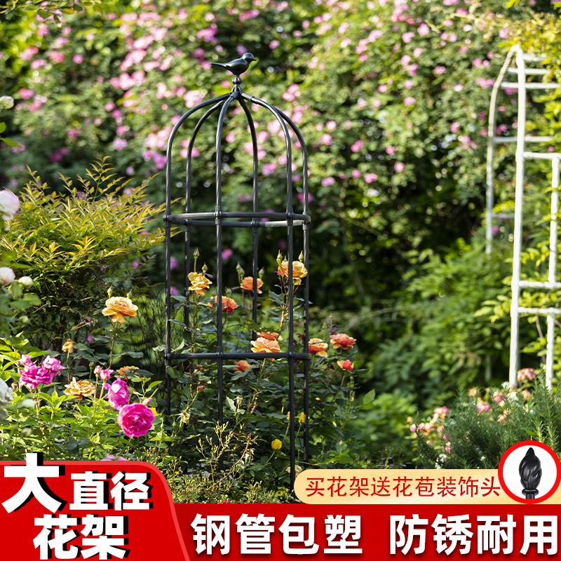 花架月季蔷薇阳台植物户外