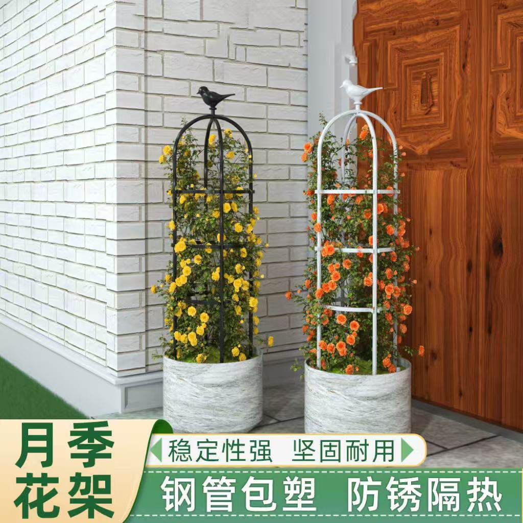 月季花架爬藤架铁线莲花盆攀爬植物铁艺攀爬支架户外阳台藤架架子,鲜花速递/花卉仿真/绿植园艺,花架,淘宝优惠券,粉丝福利购,淘宝优惠卷