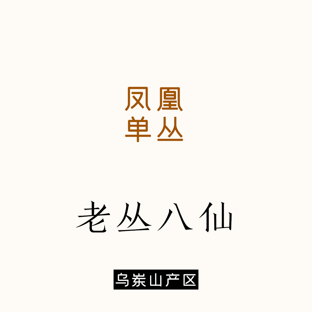 闻叶底都是果香甜的乌岽老丛八仙单丛 近似桂味荔枝！ 唐茶坊50g
