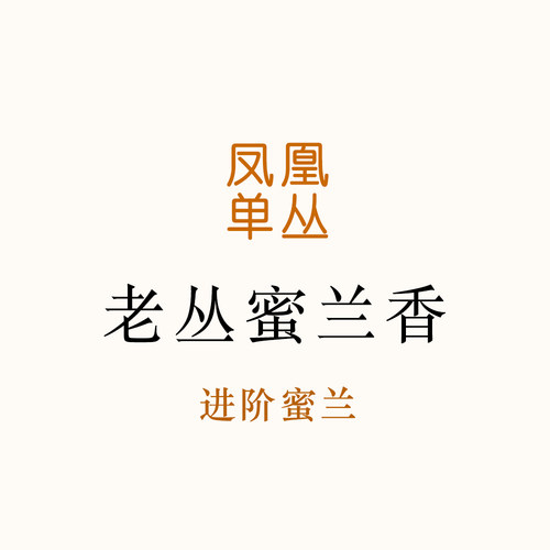 2026新茶！进阶蜜兰 鲜爽花蜜香甜，老丛蜜兰香凤凰单丛唐茶坊80g