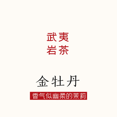 大红袍岩茶爱好者可入