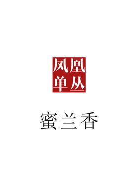 蜜兰香日常口粮凤凰潮州原产地