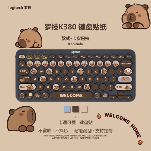 卡皮巴拉键盘贴纸可爱卡通贴纸Logitech罗技k380按键贴纸防刮耐磨