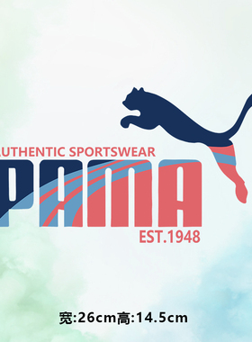 潮牌时尚pama蓝红豹子加厚白墨现货印花图案衣服装烫画贴标热转印