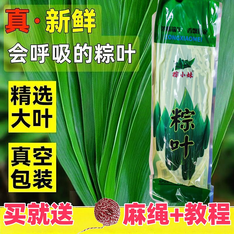 粽子叶新鲜大粽叶包粽子用野生天然家用真空袋装粽叶子箬竹叶