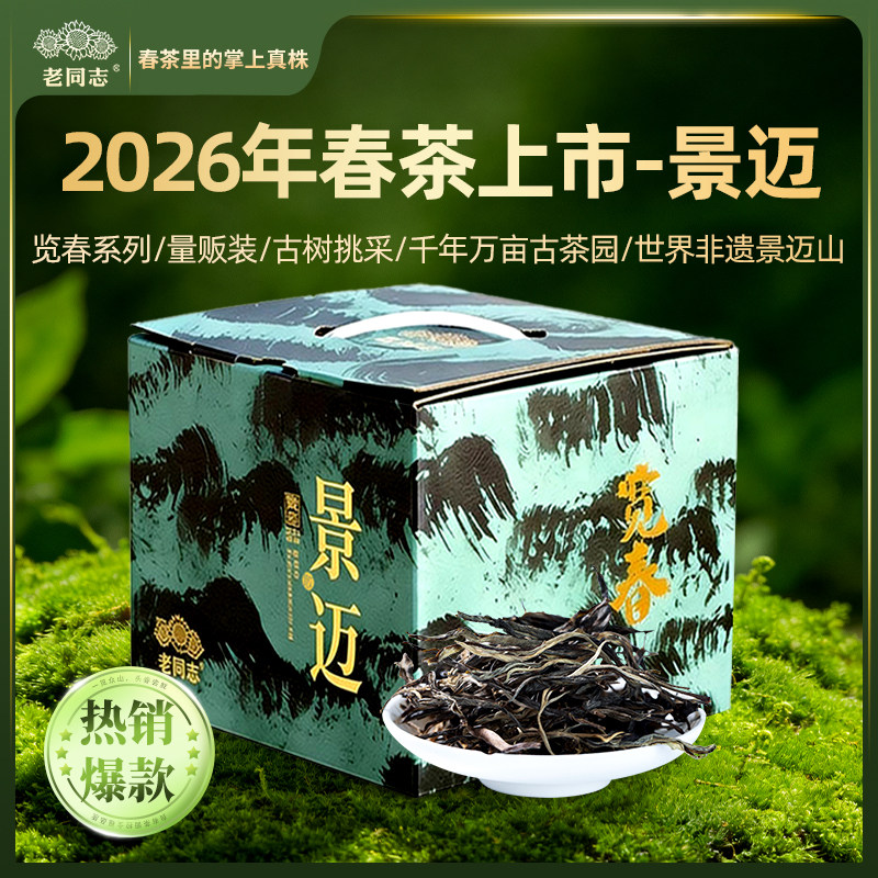 老同志普洱茶春茶【2026览春景迈】 量贩装晒青茶500克 送品鉴装