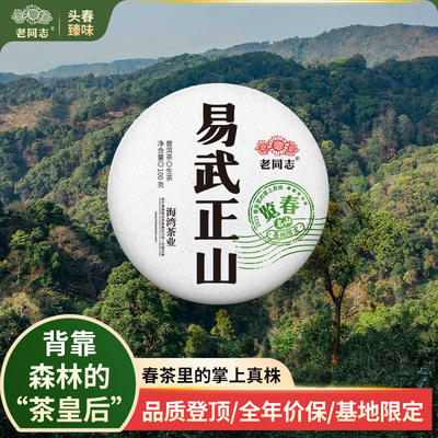 老同志普洱茶叶 2025年头春头采 易武正山古树100g买一送一