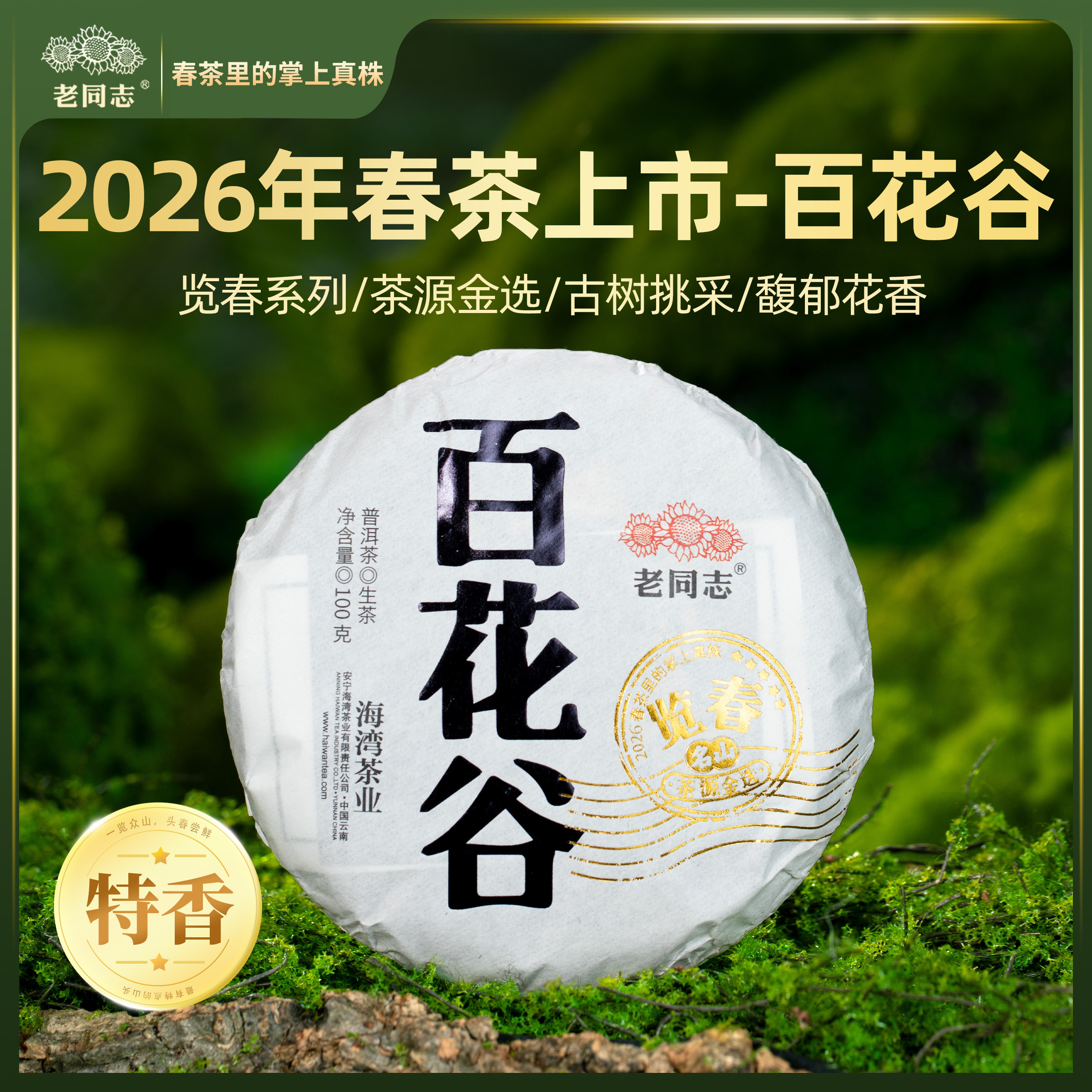 老同志普洱 春茶【2026览春百花谷】古树 生茶饼茶100克买五送一