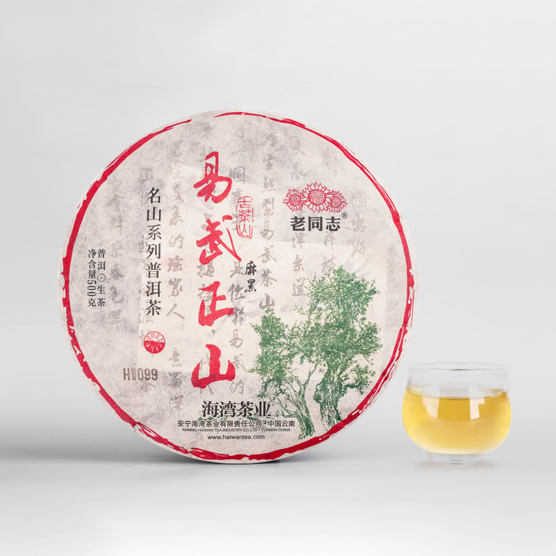 老同志普洱茶 生茶饼茶2021年易武正山麻黑  名山古树茶500g