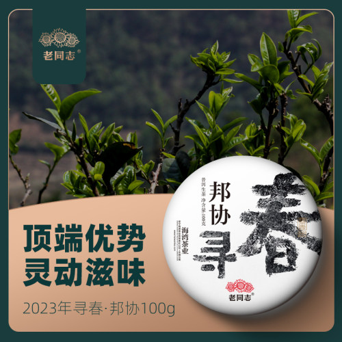 老同志生茶临沧寻春邦协藤条古树