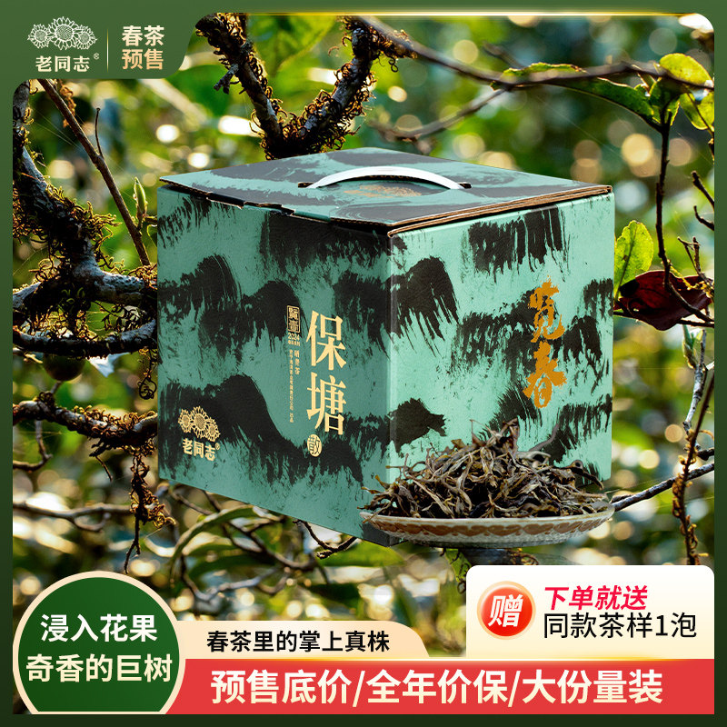 老同志普洱茶生茶 2025年览春保塘 盒装散茶500克,茶,普洱,淘宝优惠券,粉丝福利购,淘宝优惠卷