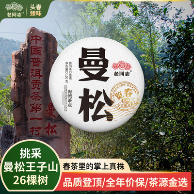 老同志普洱茶生茶古树春茶2025年曼松王子山 明前贡茶饼茶100克