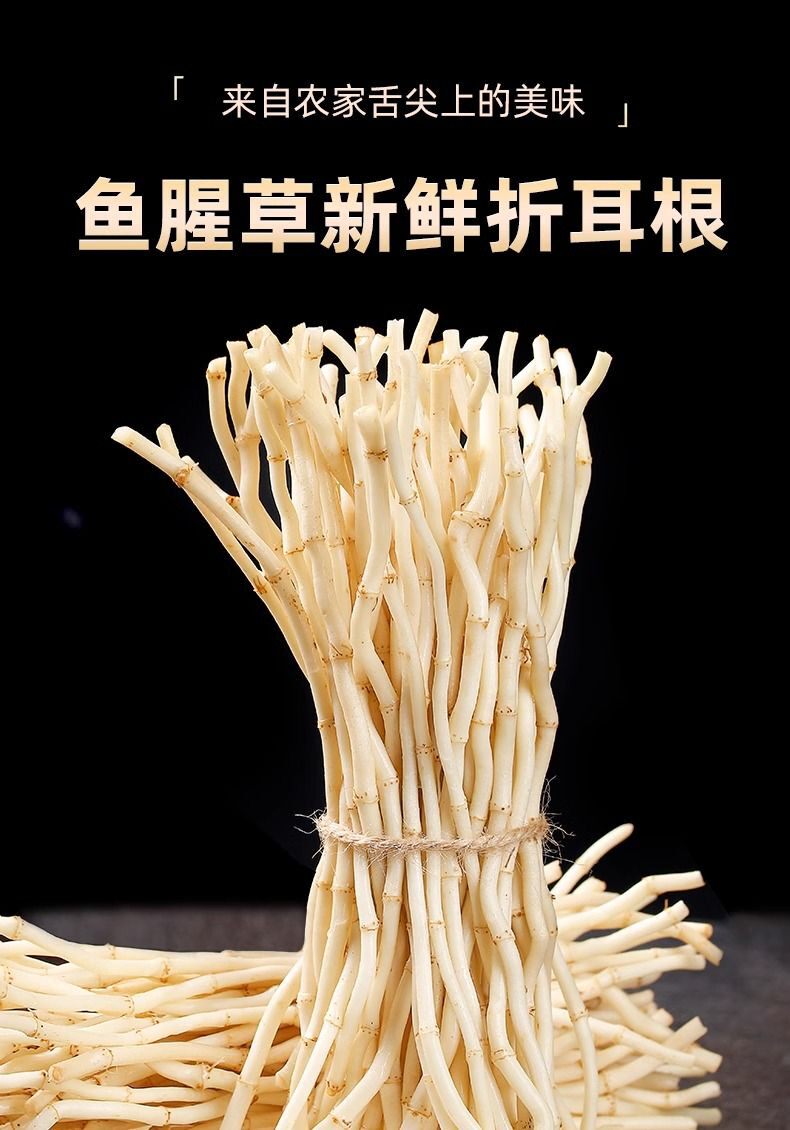 湖北宜昌特产洗净折耳根新鲜现挖现发鱼腥草洗干净凉拌菜开胃小菜