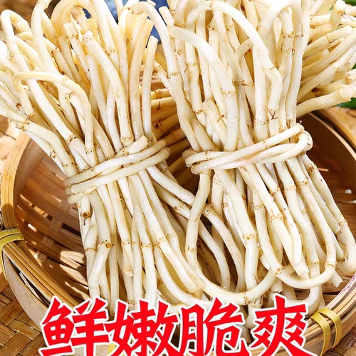 新鲜现挖折耳根鱼腥草嫩根凉拌